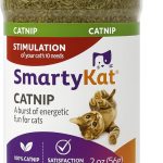 cat treats for indoor cats