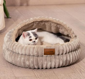 cat bed luxury