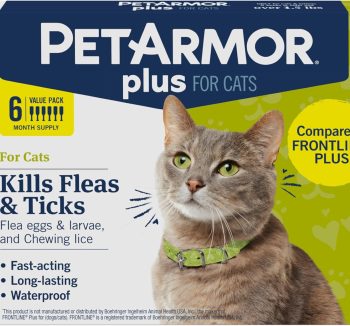 cat flea treatment
