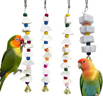 bird calcium supplement