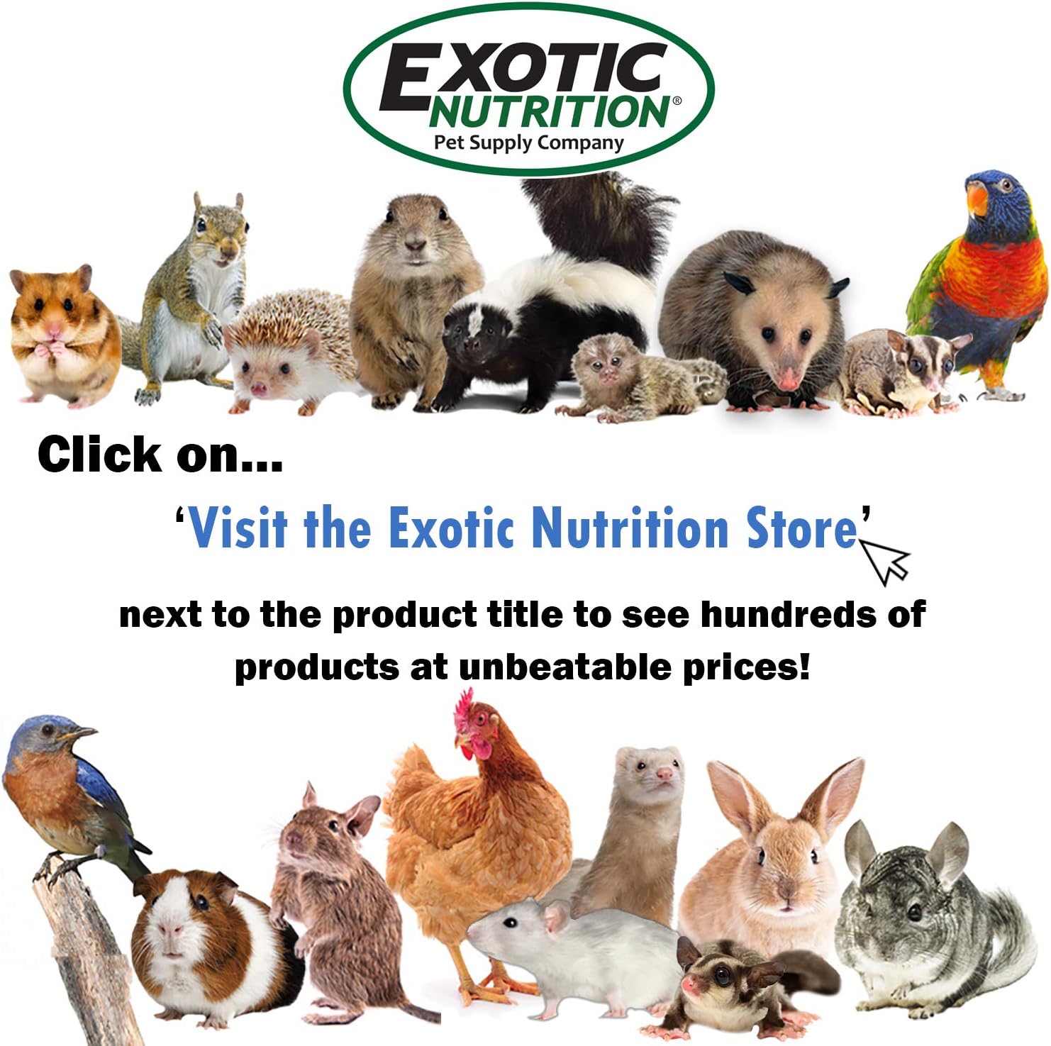 Exotic Nutrition Pumice Chew Dangle - Natural Healthy Hanging Cage Accessory Toy - for Squirrels, Degus, Chinchillas, Prairie Dogs, Birds, Rats, Hamsters, Guinea Pigs & Other Small Pets - Happypetzone.online - Image 5