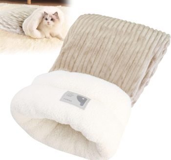 cat sleeping bed cat
