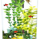 acrylic fish tank