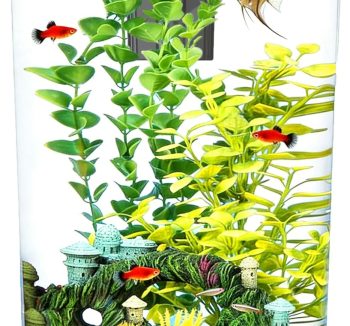 acrylic fish tank
