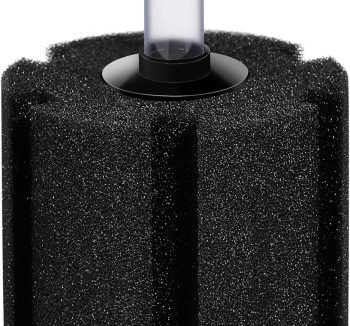 sponge filter aquarium