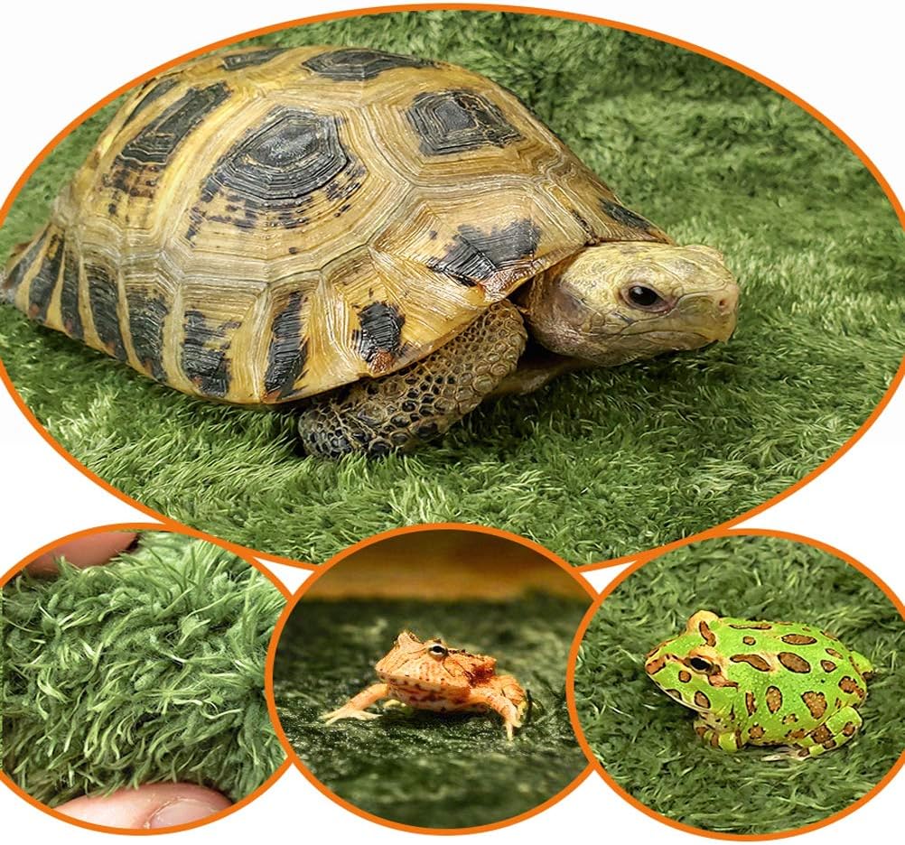 kathson 2pcs Reptile Carpet Terrarium Liner Tortoise Bedding Reptile Substrate Liner Mat Pet Cage Mats Supplies for Lizard Snake Bearded Dragon Gecko Chameleon Turtle Iguana (11.81 X 7.87 in) - Happypetzone.online - Image 3