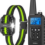 shock collar dog safe
