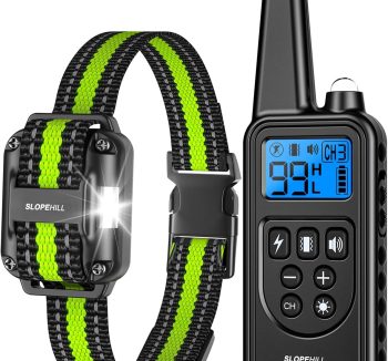 shock collar dog safe