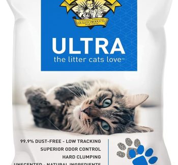 cat litter dust free