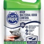 premium cat food amazon