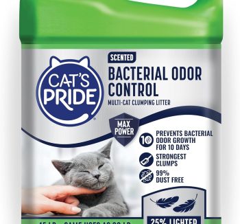 premium cat food amazon