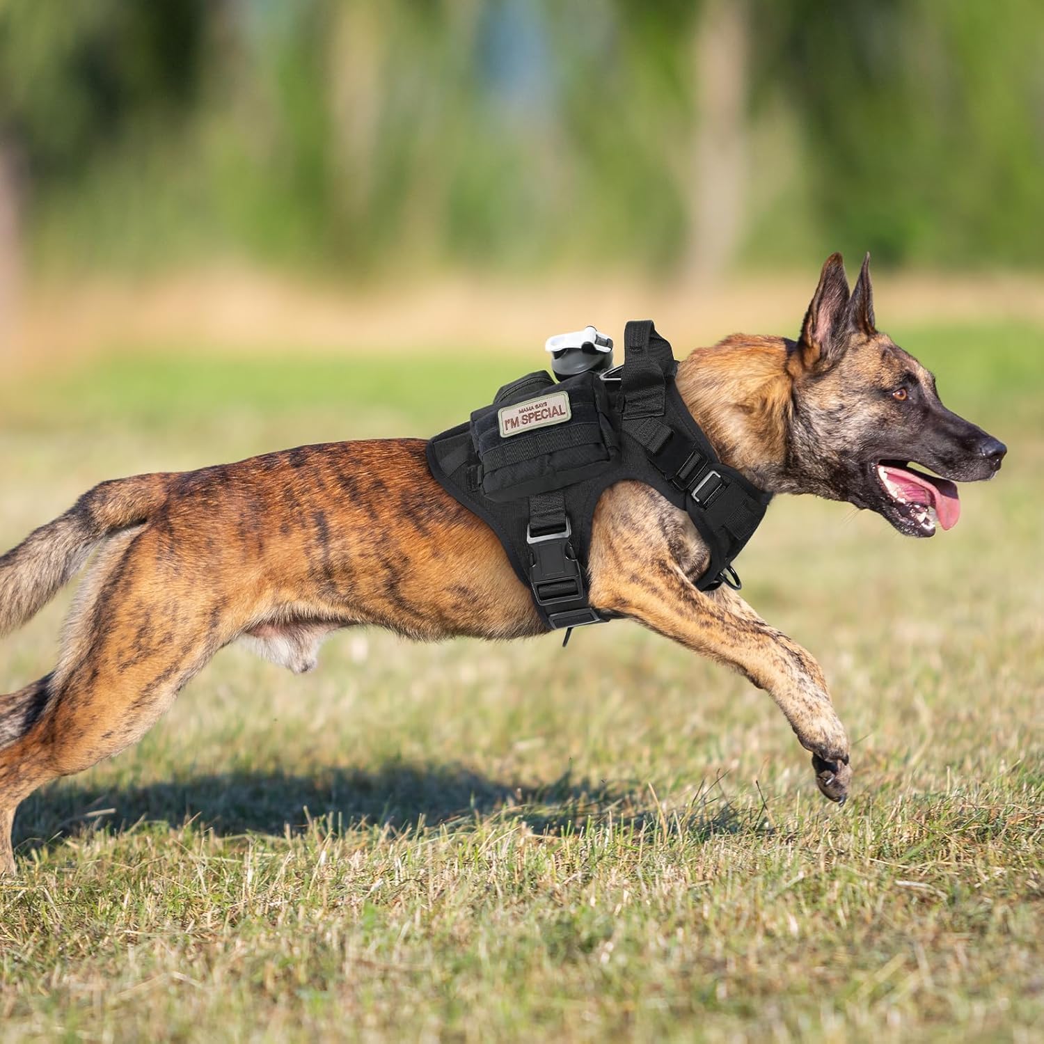 rabbitgoo Tactical Dog Harness for Large, Heavy Duty Pet Harness with Handle, No-Pull Service Vest Large Breed, Adjustable Military Dog Vest for Training Hunting Walking, Black, L - Happypetzone.online - Image 8
