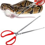 reptile feeding supplies