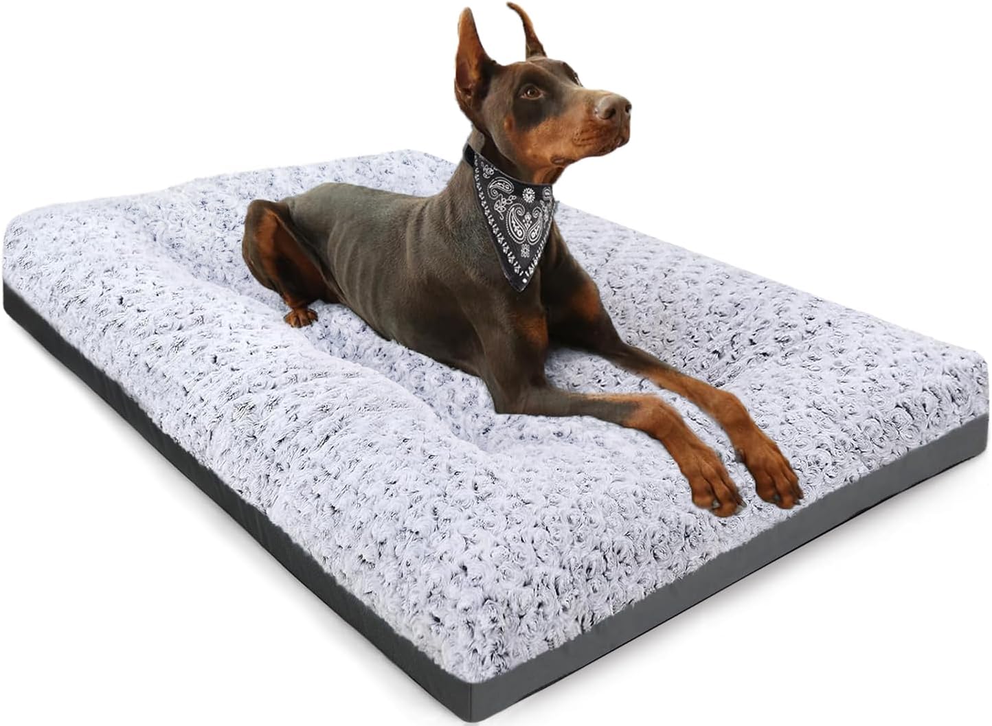 cheap dog beds large