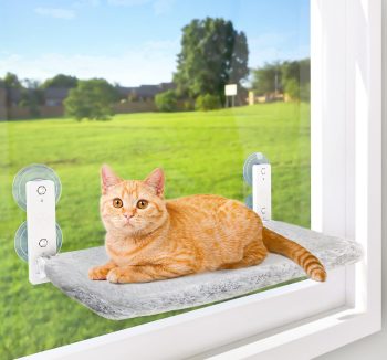 cat hammock window