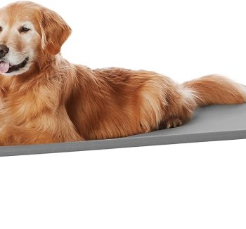 raised dog bed outdoor