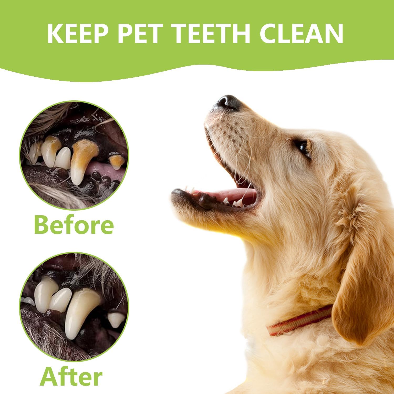 Dental Tools Pet Dog Teeth Cleaner Tool Kit, Stainless Steel Plaque Remover Dental Picks Tooth Tartar Scraper, Pets Oral Care Hygiene Set for Cats and Dogs Use with Case - Happypetzone.online - Image 2