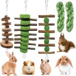 guinea pig toys fun