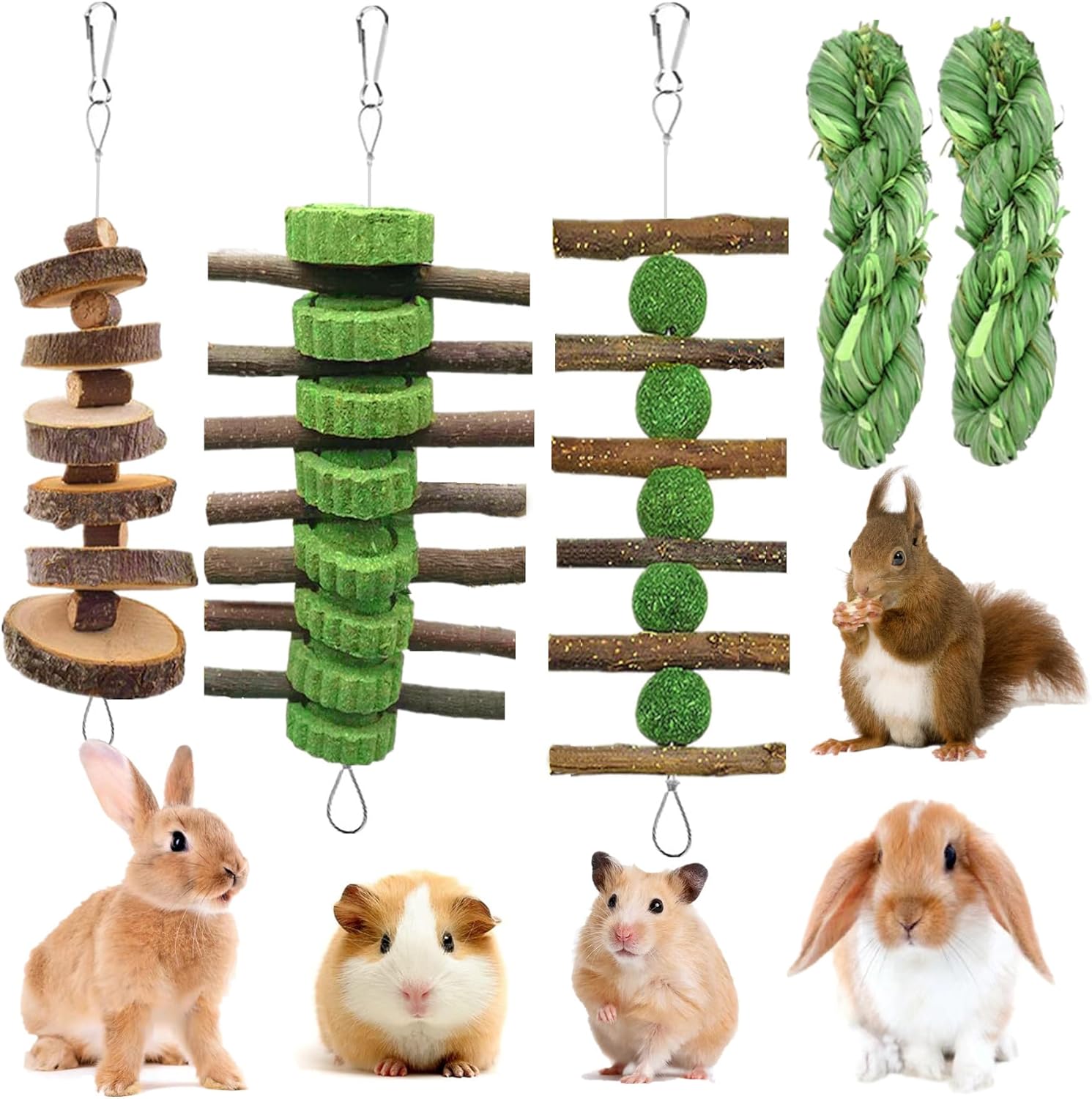 guinea pig toys fun