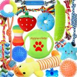 small pet toys set