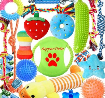 small pet toys set