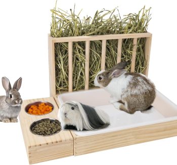rabbit litter box setup