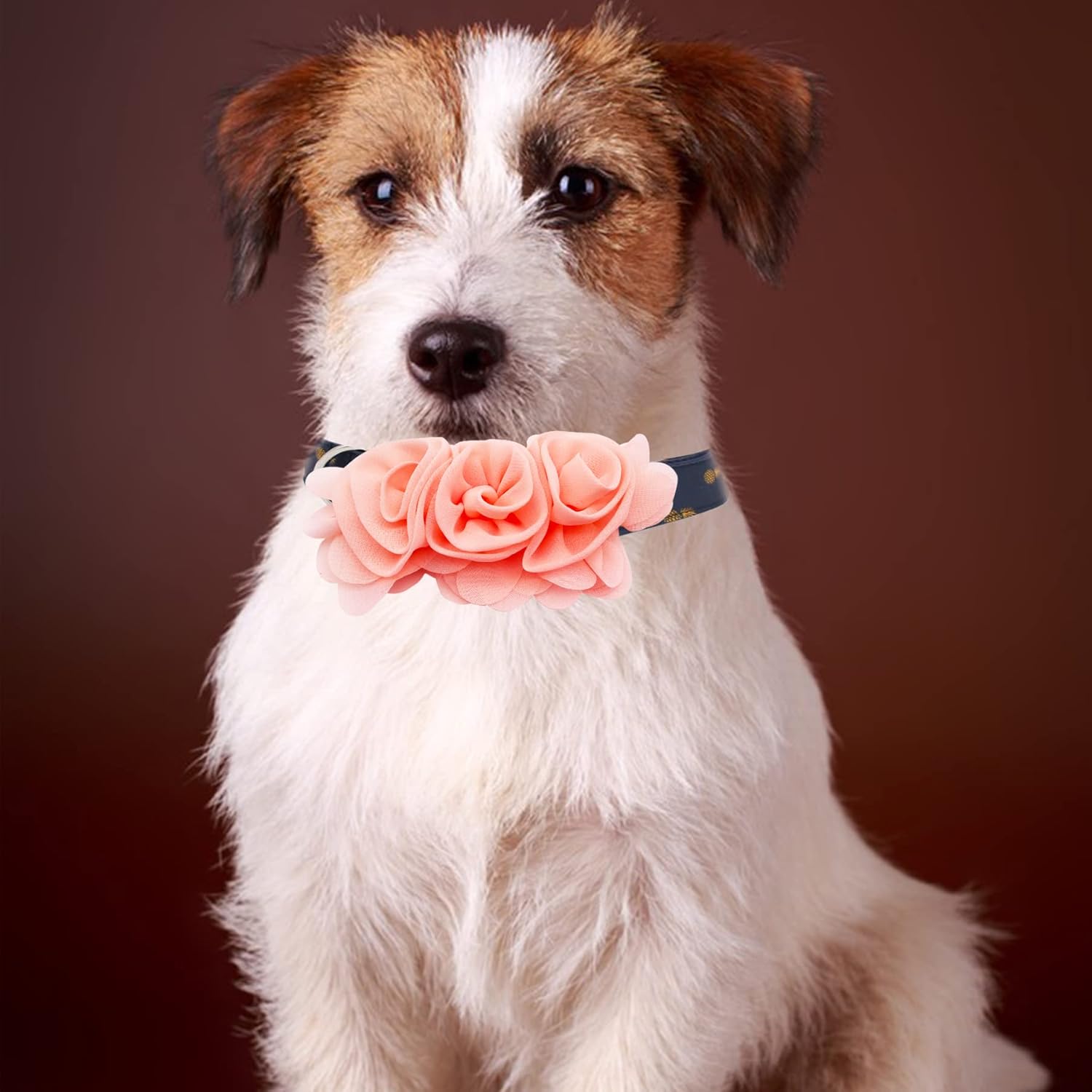 4 or 6 or 20PCS Dog Collar Large Flowers Pet Collar Charms Attachment for Small Medium Big Girl Female Cat Puppy Alpaca Rabbit Neck Bows Sliders Grooming Accessories - Happypetzone.online - Image 7