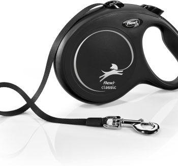 retractable dog leash