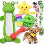 dog toys for small dogs