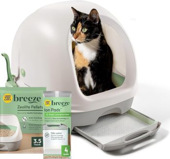 cat litter odor control