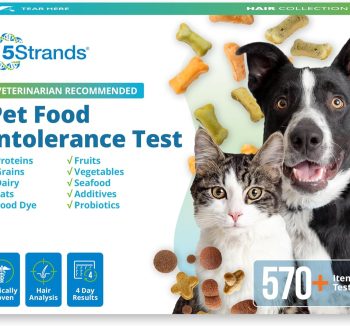 dog food for allergies