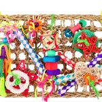 bird enrichment toys