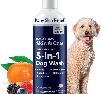 dog food for allergies
