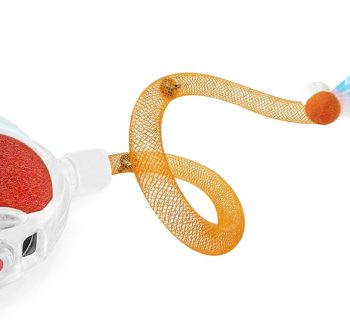cat toys for exercise