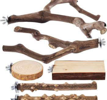 cheap bird perch set