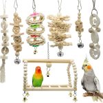 bird hanging swing