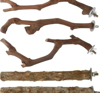 bird perch wood natural