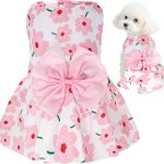 dog outfit summer