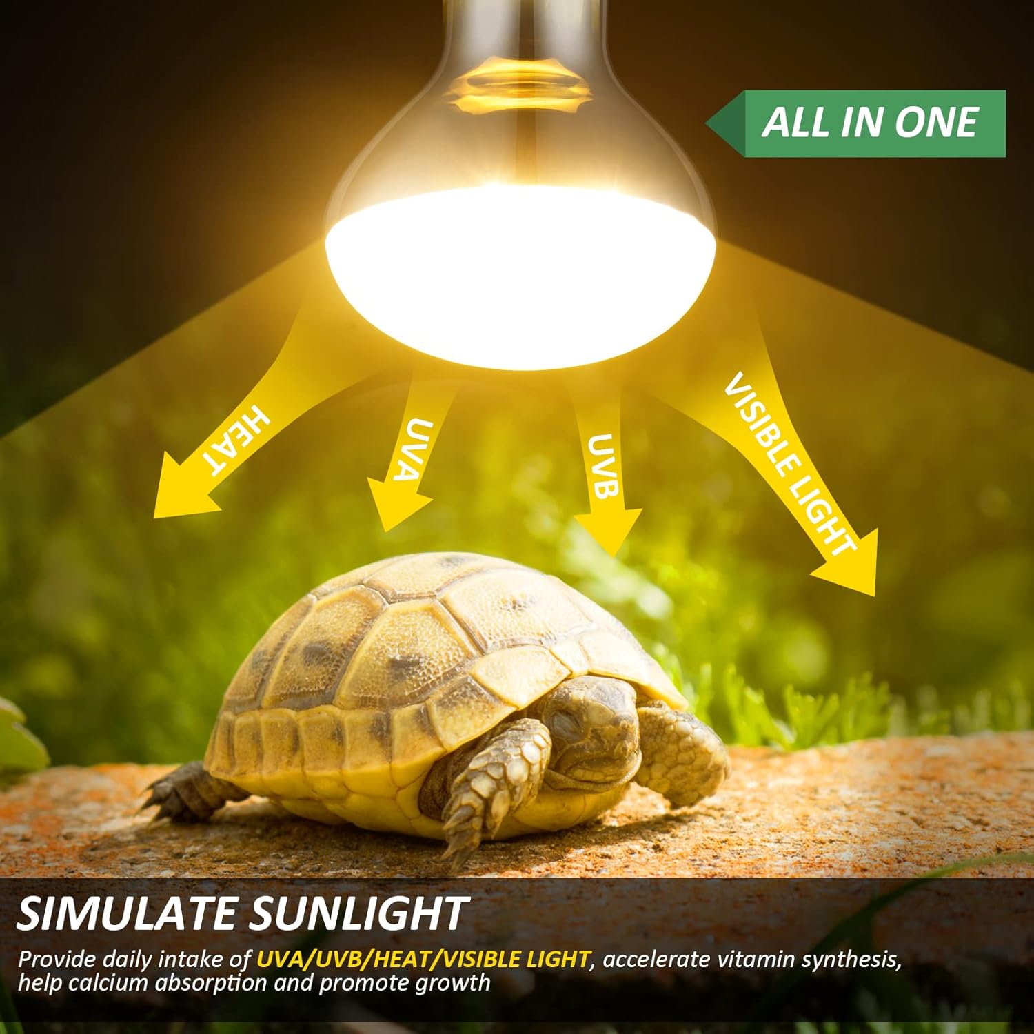 MIXJOY 2 Pack 100W Reptile Heat Lamp Bulb Full Spectrum UVA UVB Sun Light for Reptile and Amphibian Use - Happypetzone.online - Image 2