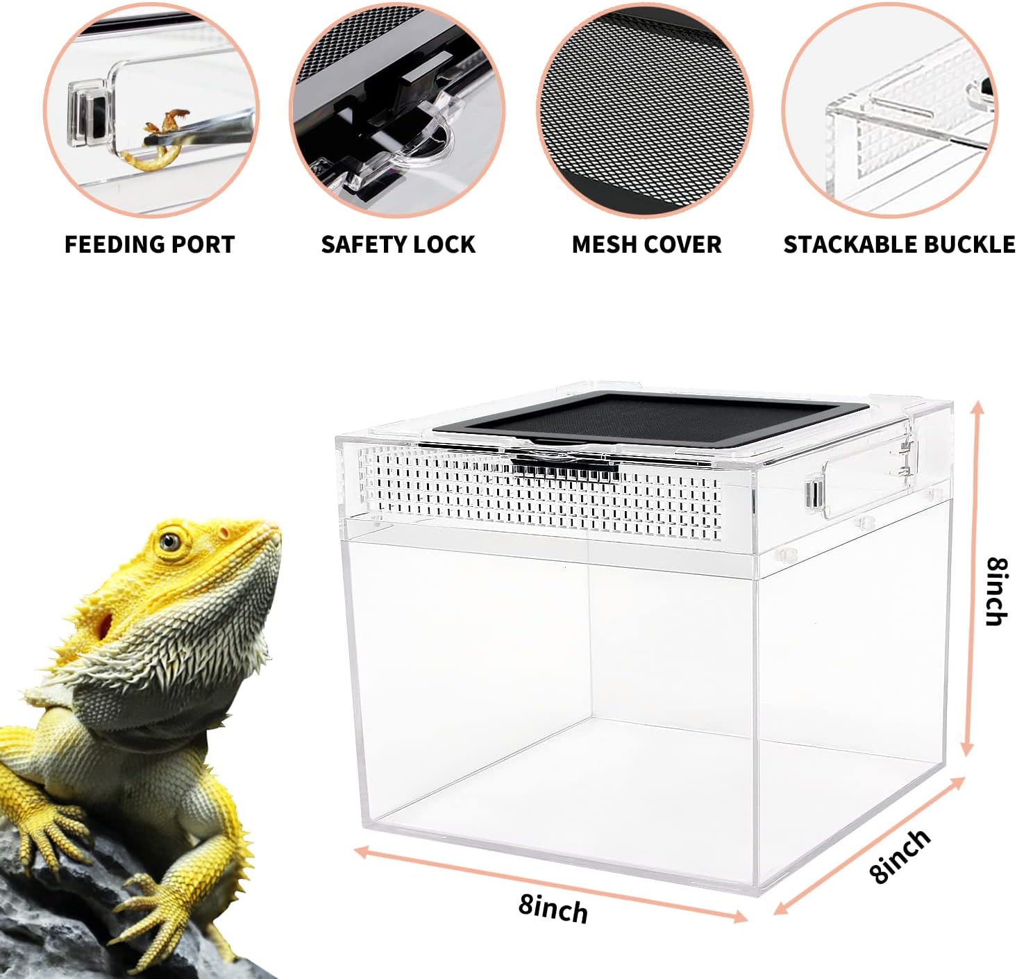 Reptile Growth mini Reptile Terrarium,8" x 8"x 8" Reptile Tank with Full View Visually Appealing,for Insect,Fish,Tarantula,Hermit Crab,Jumping Spider,Iguana,Tortoise,Leopard Gecko,Frog,Bearded Dragon - Happypetzone.online - Image 4