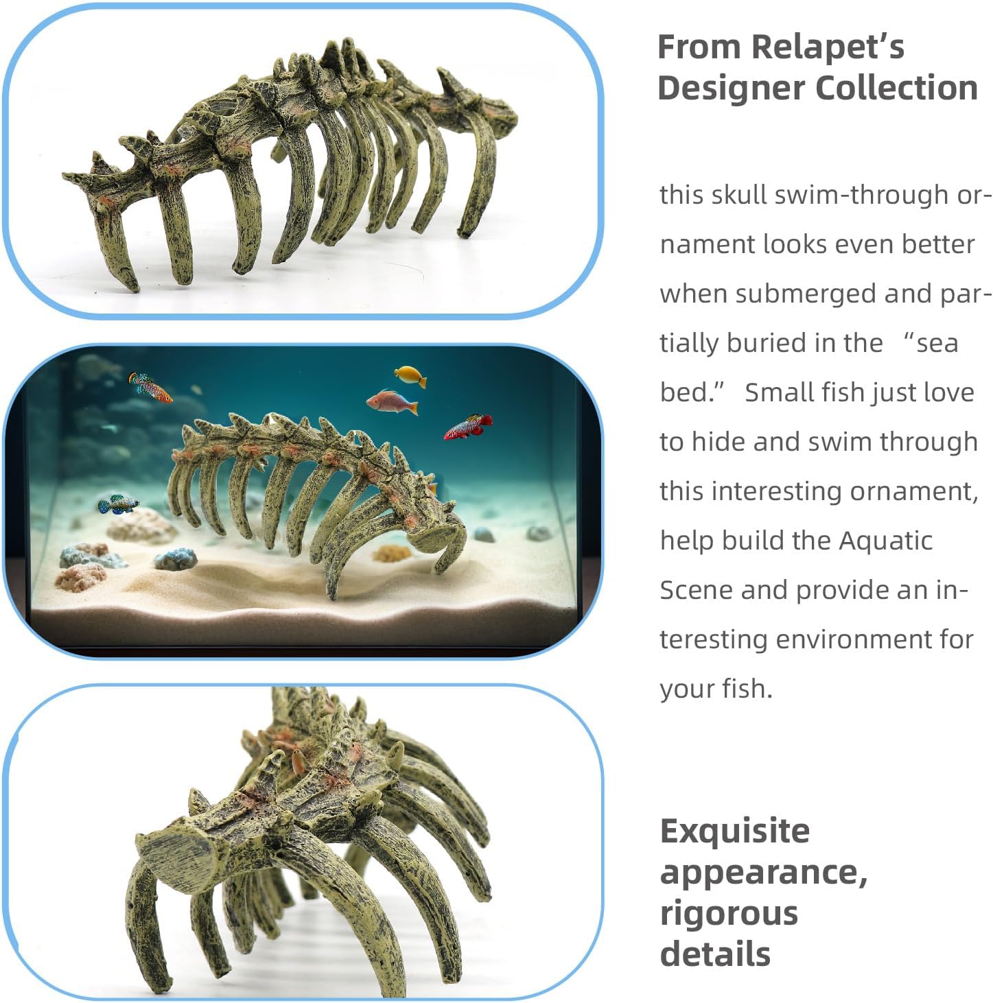 relaqcc Aquarium Skull Animal Skeletons, Reptile Tank Accessories, Fish Tank Decorations for Amphibians, Betta Fish, Shrimp, Hermit Crab, Leopard Gecko - Happypetzone.online - Image 5