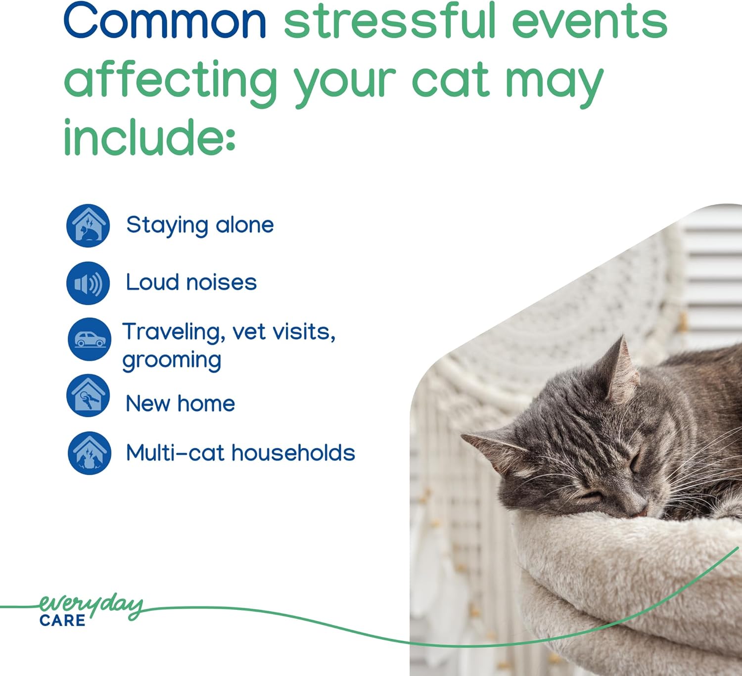 Virbac ZENIFEL™ Gel Diffuser | Managing Stress-Related Behaviors in Kittens & Cats - No Electricity Needed - Lasts Up to 2 Months - Happypetzone.online - Image 5