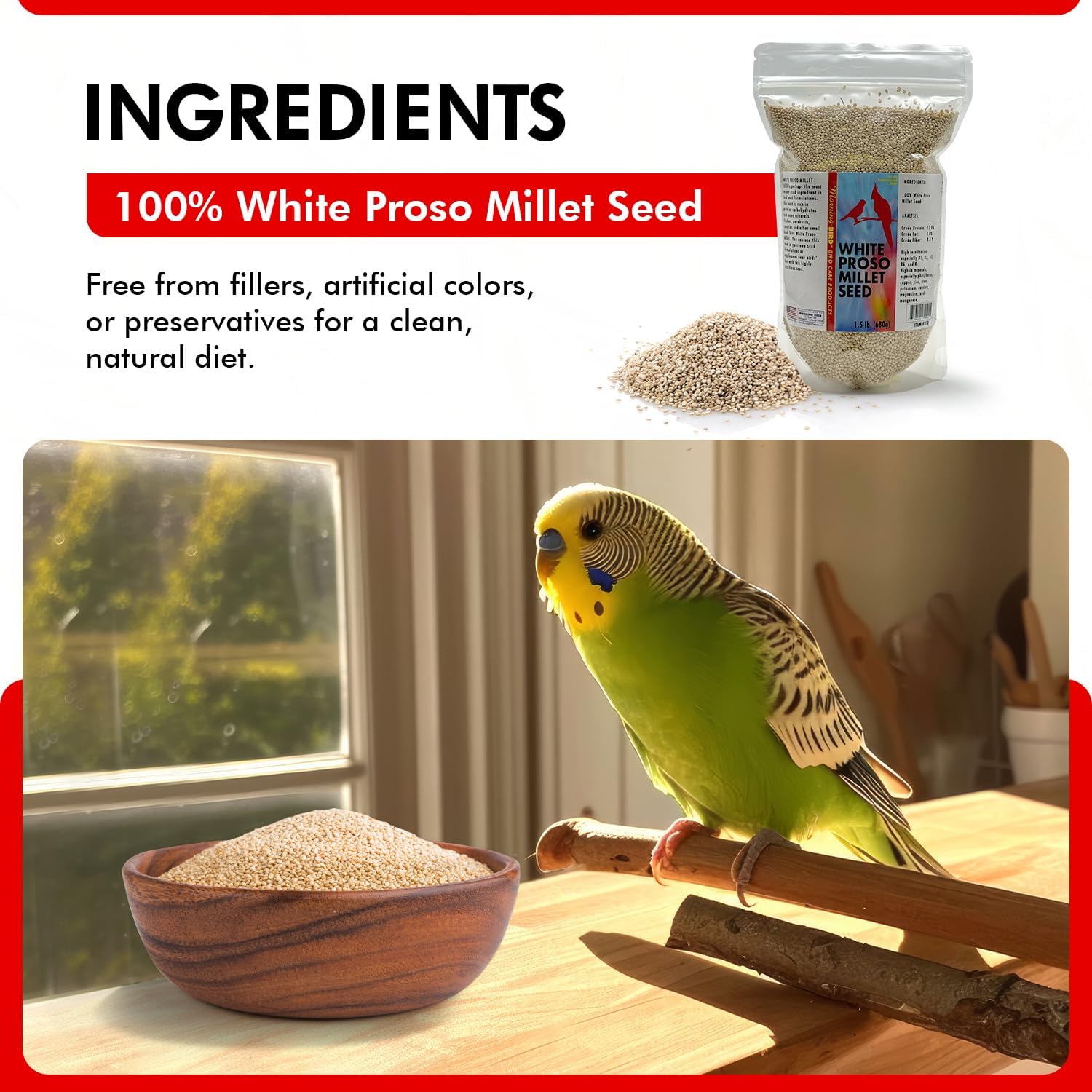 Morning Bird White Proso Millet 1.5 lbs – Unhulled Natural Bird Seed – Supports Feather Growth & Balanced Nutrition – High Energy Delicious Seed - Ideal for Finches, Parakeets & Pet Birds - Happypetzone.online - Image 3