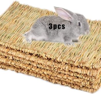 rabbit wellness products