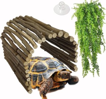reptile hide cave