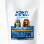 healthy dog treats