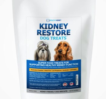 healthy dog treats