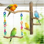 bird toys for small birds