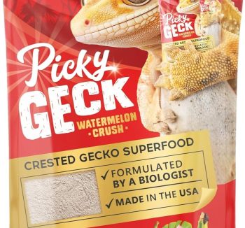 reptile food high protein
