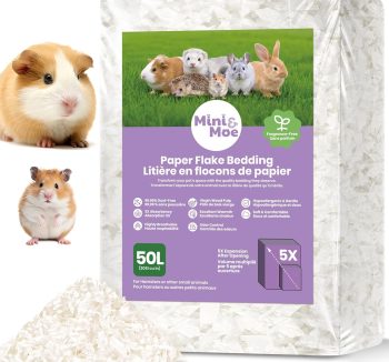 hamster bedding dust free